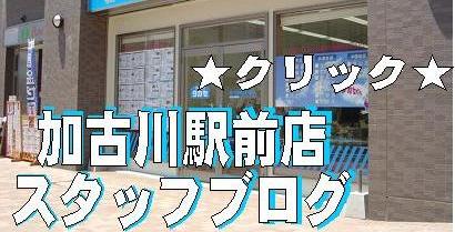 タカセ不動産 キャンペーン情報